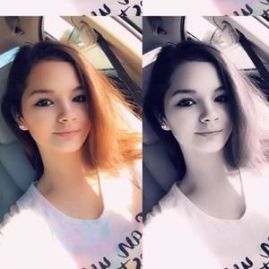 Meet your Posher, Shelby